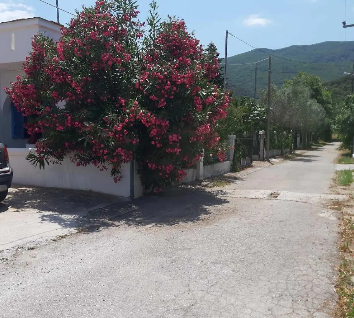 House Sofia Milies Βίλα Σταυρός